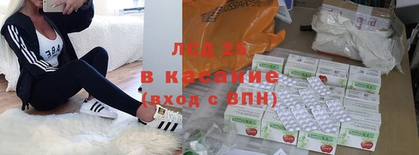 гашиш Богданович