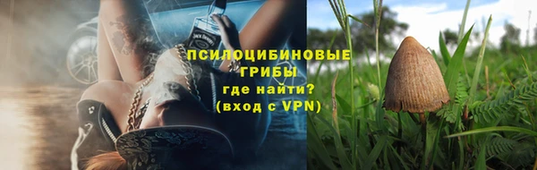 гашиш Богданович