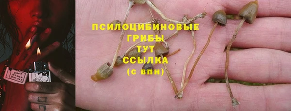 гашиш Богданович