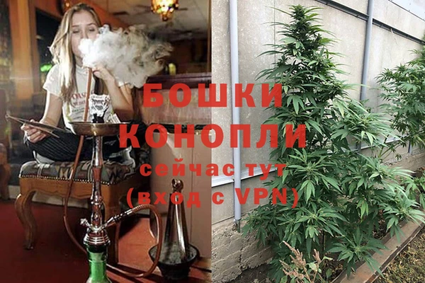 гашиш Богданович