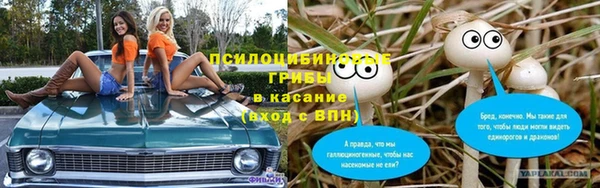 Альфа ПВП Богородск