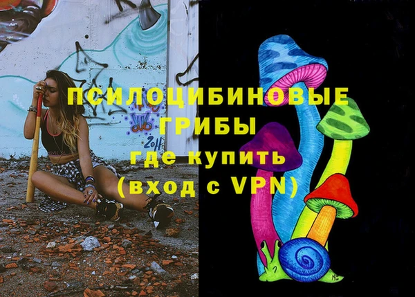 Альфа ПВП Богородск