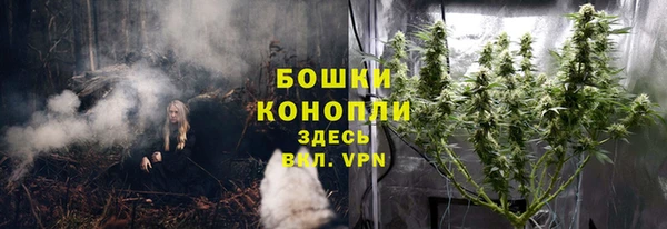 гашиш Богданович