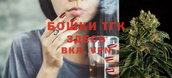 гашиш Богданович