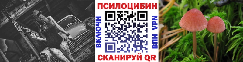 Псилоцибиновые грибы Magic Shrooms  купить  цена  Ильский 